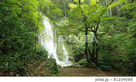 愛媛県内子町 紅葉ヶ滝の風景 愛媛県内子町 紅葉ヶ滝の風景 81104088