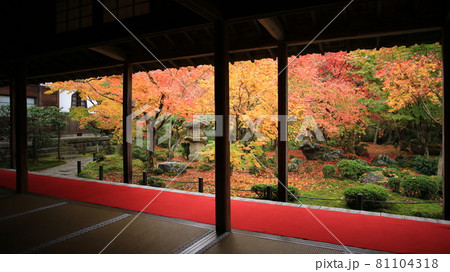 庭縁に掛かる紅葉のカーテン 庭縁に掛かる紅葉のカーテン 81104318