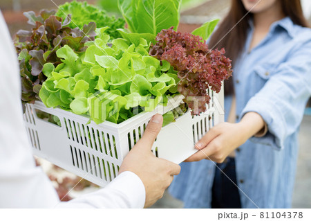 Manufacturers send baskets organic vegetables for consumers. 81104378