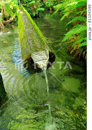 熊野の清水（千葉県長生郡長南町） 81104399