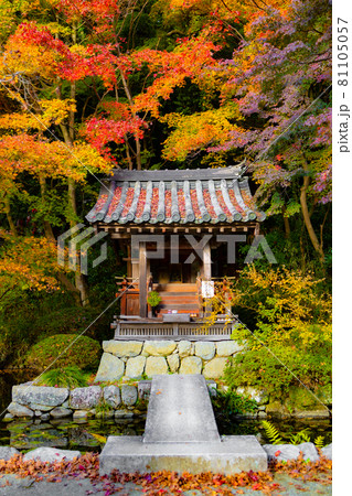 大阪府河内長野市　観心寺　秋と石橋とお堂 81105057