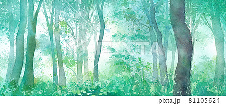 朝モヤの森林の風景 水彩イラスト 背景 のイラスト素材