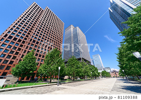 東京　丸の内のビジネス街の風景 81109388
