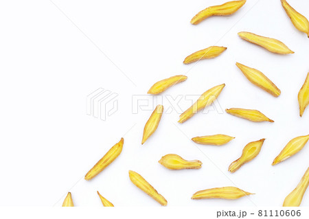 finger root on white background. finger root on white background. 81110606