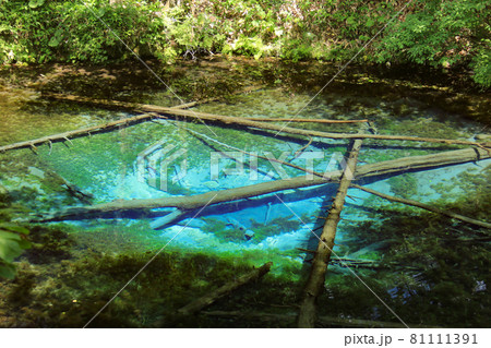 北海道の夏 摩周湖の伏水 神秘的な神の子池 北海道の夏 摩周湖の伏水 神秘的な神の子池 81111391