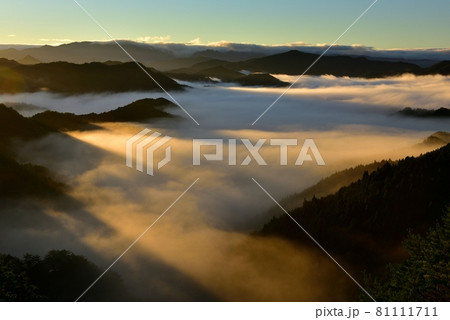 野迫川村の雲海 野迫川村の雲海 81111711