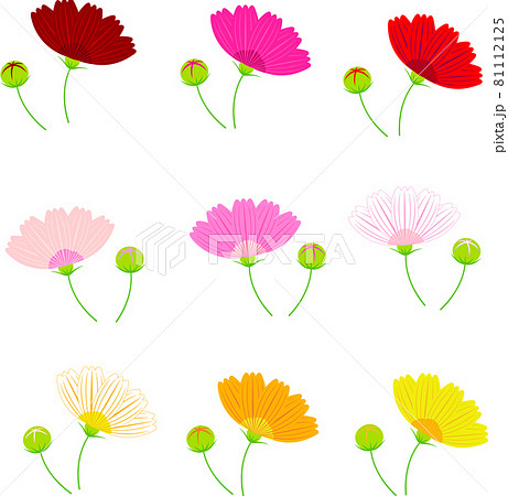 横向きのコスモスの花と蕾のイラストアイコンセットのイラスト素材