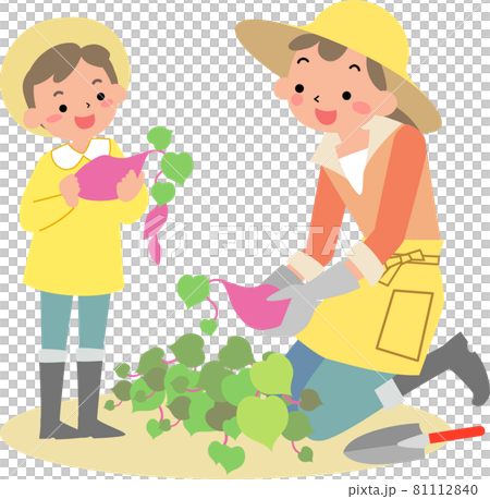 男孩的孩子和媽媽挖土豆 81112840