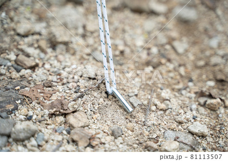 テント設営時のペグの様子 テント設営時のペグの様子 81113507