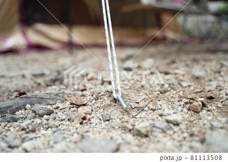 テント設営時のペグの様子 テント設営時のペグの様子 81113508
