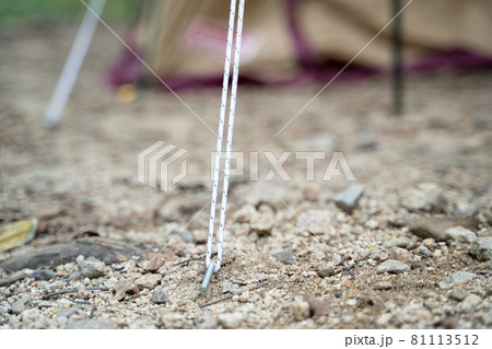 テント設営時のペグの様子 テント設営時のペグの様子 81113512
