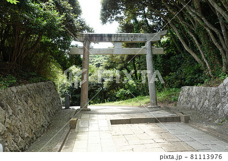 鳥取市白兎神社 鳥居 鳥取市白兎神社 鳥居 81113976