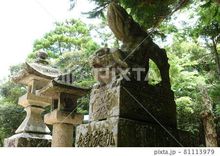鳥取市白兎神社 狛犬 鳥取市白兎神社 狛犬 81113979