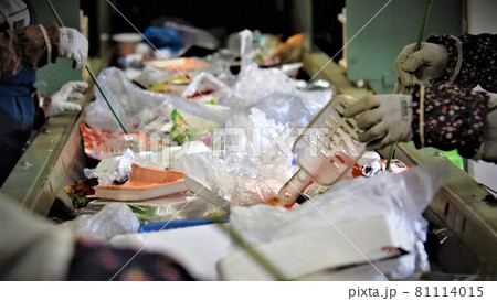 手作業による廃プラの選別作業　マイクロプラスチック 環境ホルモン, 内分泌かく乱物質, ビスフェノー 81114015