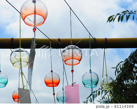 夏の風物詩　涼しげな風鈴 81114309