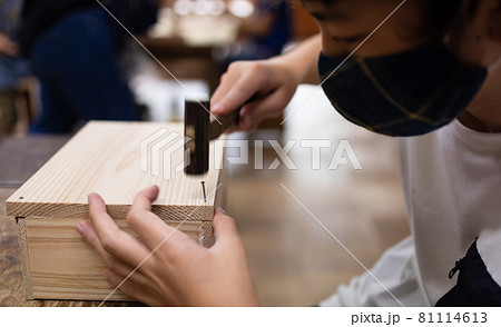 木工作りを楽しむ小学生女子 木工作りを楽しむ小学生女子 81114613