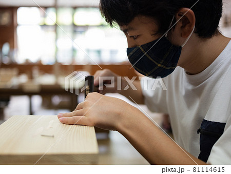 木工作りを楽しむ小学生 木工作りを楽しむ小学生 81114615