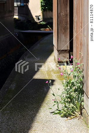 新潟 佐渡 宿根木集落の街並み 新潟 佐渡 宿根木集落の街並み 81114870