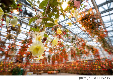 ガーデニング 81115235