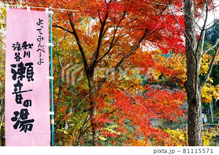 東京都あきる野市 秋川渓谷の紅葉 東京都あきる野市 秋川渓谷の紅葉 81115571