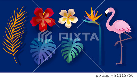 Set of tropical design elements 81115750