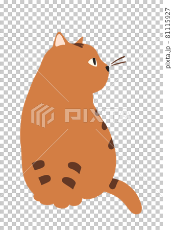 振り向く猫のイラスト-トラ猫 81115927