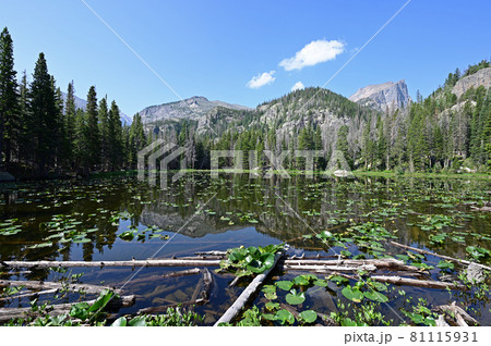 Nymph Lake in Rocky Mountain National Park, Colorado in summer. 81115931
