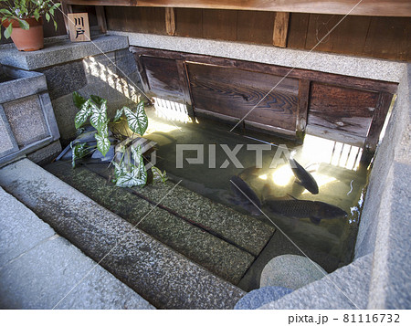 【滋賀県】近江商人屋敷の川戸 【滋賀県】近江商人屋敷の川戸 81116732