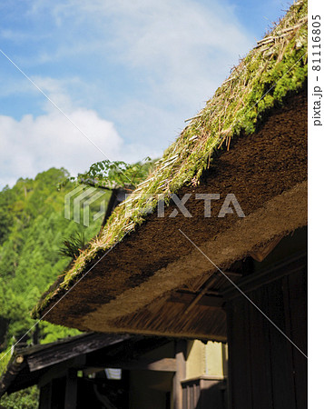 【京都美山】苔の生えた茅葺き屋根 【京都美山】苔の生えた茅葺き屋根 81116805