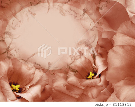 Floral red background. Flowers and petals of a red roses. Place for text. Close-up. Nature. 81118315