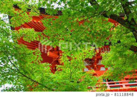 不動院 重要文化財 古刹 広島県 不動院 重要文化財 古刹 広島県 81118848