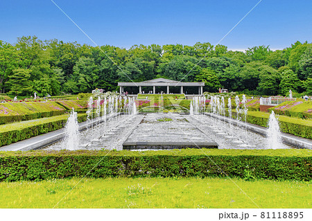 東京都 神代植物公園 バラ園の写真素材