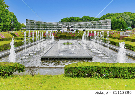 東京都　神代植物公園　バラ園　春バラの季節 81118896
