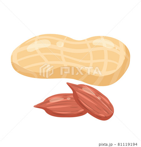 Peanits natural healthy organic nutrition product, shell and open. Vector doodle cartoon flat trendy illustration hand drawn isolated Peanits natural healthy organic nutrition product, shell and open. Vector doodle cartoon flat trendy illustration hand drawn isolated 81119194