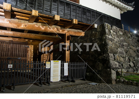 初めて見る国宝松本城はライトに照らされ感動と共に私に迫ってきた。 81119571
