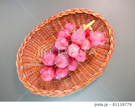 ぶどう　ブドウ　葡萄 81119779