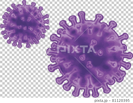 紫色新型冠狀病毒 81120395