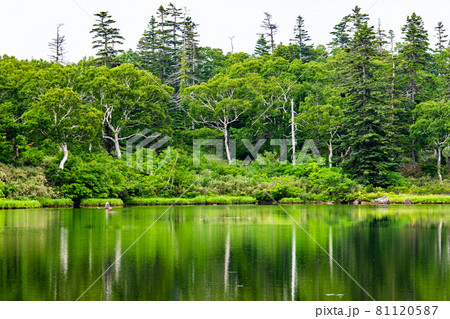 北海道共和町 夏の神仙沼 北海道共和町 夏の神仙沼 81120587