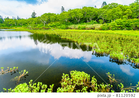 北海道共和町 夏の神仙沼 北海道共和町 夏の神仙沼 81120592