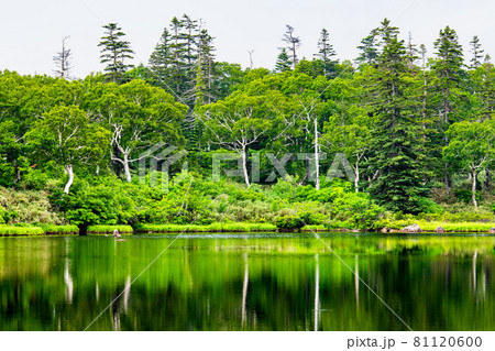 北海道共和町　夏の神仙沼 81120600