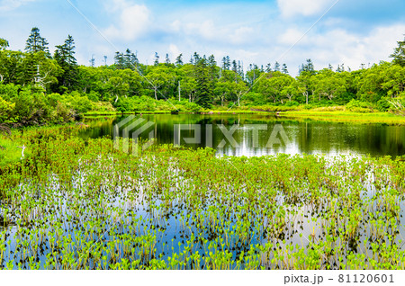 北海道共和町　夏の神仙沼 81120601