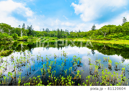 北海道共和町　夏の神仙沼 81120604