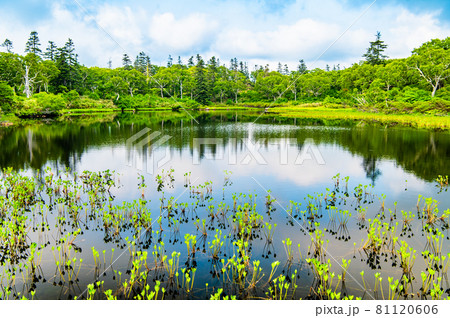 北海道共和町　夏の神仙沼 81120606