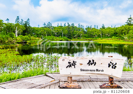 北海道共和町 夏の神仙沼 北海道共和町 夏の神仙沼 81120608