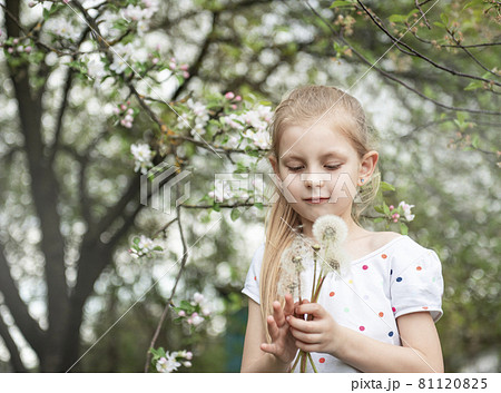 Little girl with white dandelions in her hands 81120825