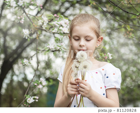 Little girl with white dandelions in her hands 81120828