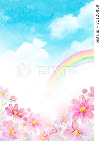 虹とコスモス畑 水彩イラスト 虹とコスモス畑 水彩イラスト 81120869