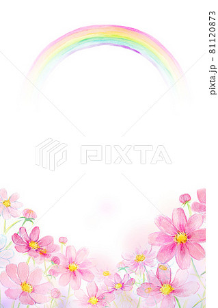 虹とコスモス畑　水彩イラスト 81120873