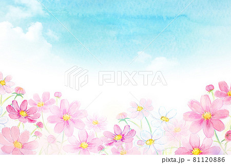 虹とコスモス畑 水彩イラストのイラスト素材 8116