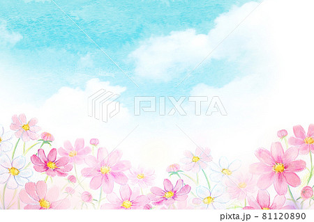 虹とコスモス畑 水彩イラスト 虹とコスモス畑 水彩イラスト 81120890